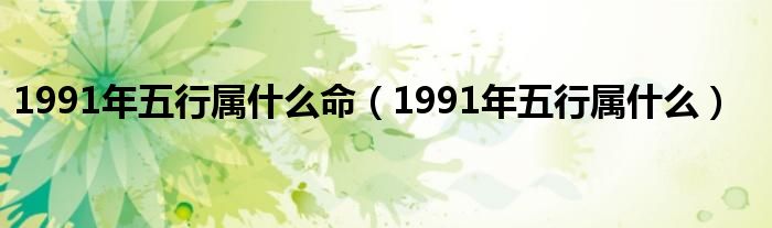 1991年五行属什么命（1991年五行属什么）