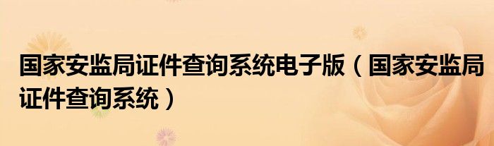 国家安监局证件查询系统电子版（国家安监局证件查询系统）