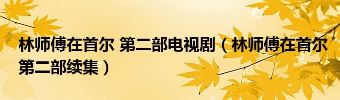 林师傅在首尔 第二部电视剧（林师傅在首尔第二部续集）