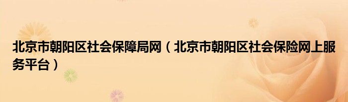 北京市朝阳区社会保障局网（北京市朝阳区社会保险网上服务平台）