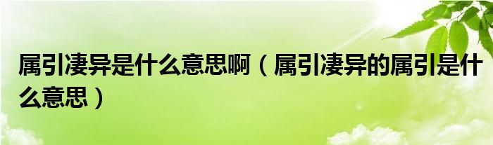 属引凄异是什么意思啊（属引凄异的属引是什么意思）