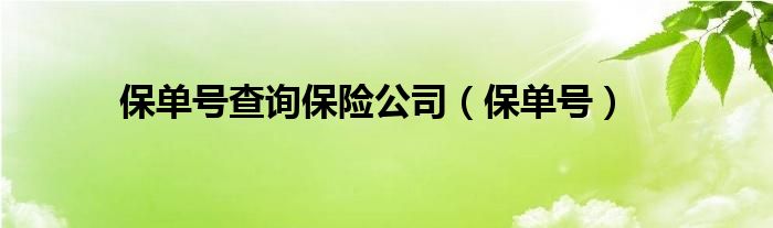 保单号查询保险公司（保单号）