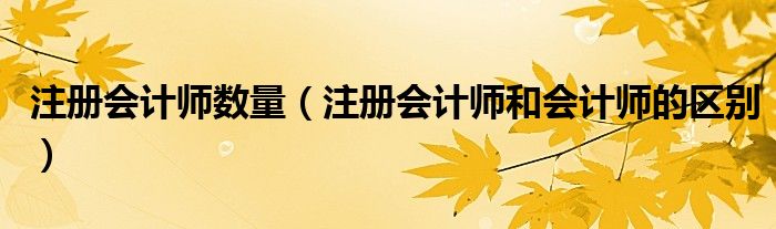 注册会计师数量（注册会计师和会计师的区别）