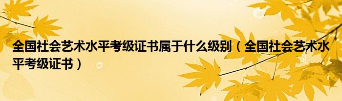 全国社会艺术水平考级证书属于什么级别（全国社会艺术水平考级证书）