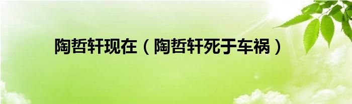 陶哲轩现在（陶哲轩死于车祸）