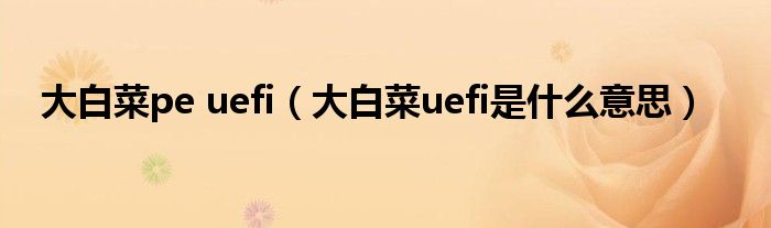 大白菜pe uefi（大白菜uefi是什么意思）