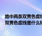 路中两条双黄色虚线是什么标线? A.潮汐车道线（路中两条双黄色虚线是什么标线）