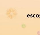 esco生物安全柜（esc）