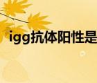 igg抗体阳性是什么意思（igg抗体是什么）