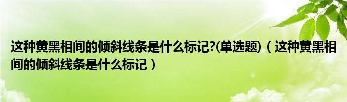 这种黄黑相间的倾斜线条是什么标记?(单选题)（这种黄黑相间的倾斜线条是什么标记）