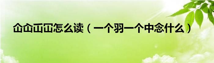 仚屳屲冚怎么读（一个羽一个中念什么）