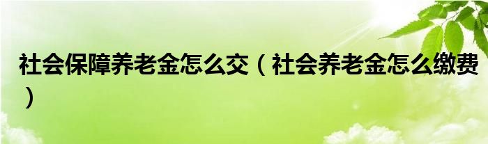 社会保障养老金怎么交（社会养老金怎么缴费）