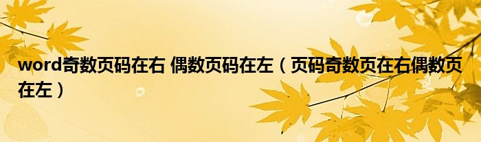 word奇数页码在右 偶数页码在左（页码奇数页在右偶数页在左）