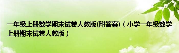 一年级上册数学期末试卷人教版(附答案)（小学一年级数学上册期末试卷人教版）