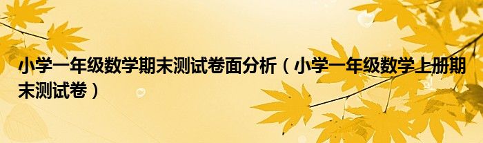 小学一年级数学期末测试卷面分析（小学一年级数学上册期末测试卷）