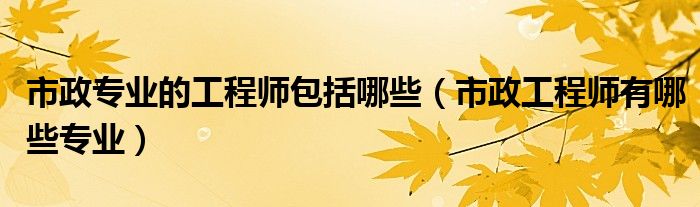 市政专业的工程师包括哪些（市政工程师有哪些专业）