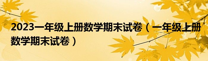 2023一年级上册数学期末试卷（一年级上册数学期末试卷）