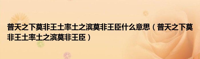 普天之下莫非王土率土之滨莫非王臣什么意思（普天之下莫非王土率土之滨莫非王臣）