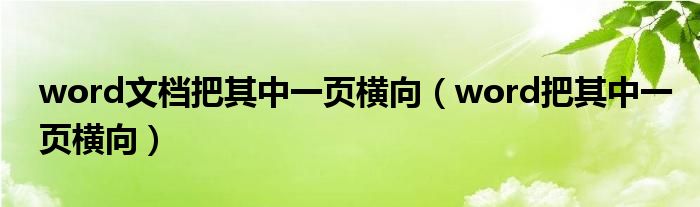 word文档把其中一页横向（word把其中一页横向）