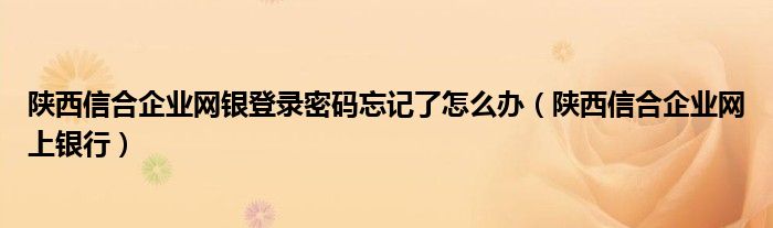 陕西信合企业网银登录密码忘记了怎么办（陕西信合企业网上银行）