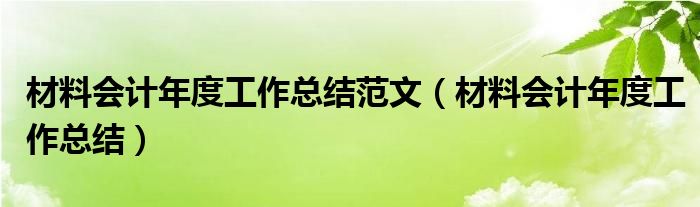 材料会计年度工作总结范文（材料会计年度工作总结）