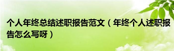 个人年终总结述职报告范文（年终个人述职报告怎么写呀）