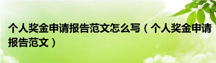 个人奖金申请报告范文怎么写（个人奖金申请报告范文）