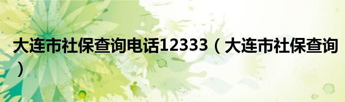 大连市社保查询电话12333（大连市社保查询）