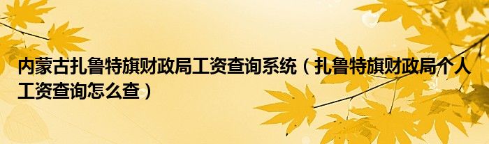 内蒙古扎鲁特旗财政局工资查询系统（扎鲁特旗财政局个人工资查询怎么查）