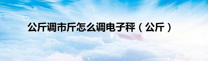 公斤调市斤怎么调电子秤（公斤）