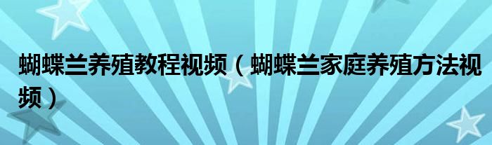 蝴蝶兰养殖教程视频（蝴蝶兰家庭养殖方法视频）