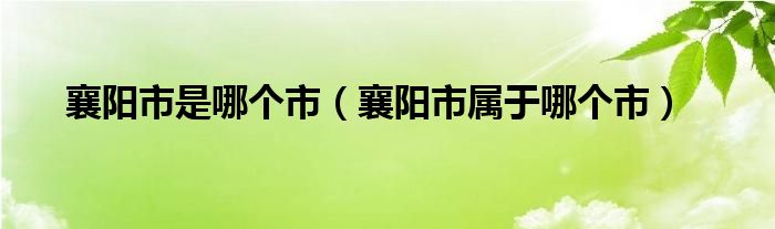 襄阳市是哪个市（襄阳市属于哪个市）