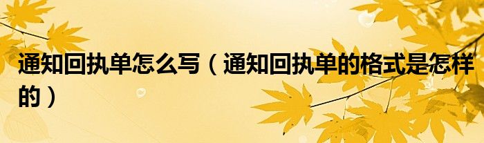 通知回执单怎么写（通知回执单的格式是怎样的）