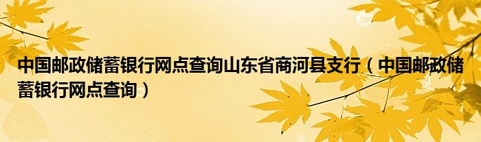 中国邮政储蓄银行网点查询山东省商河县支行（中国邮政储蓄银行网点查询）