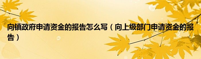 向镇政府申请资金的报告怎么写（向上级部门申请资金的报告）