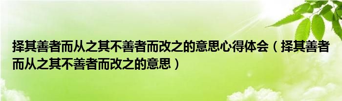 择其善者而从之其不善者而改之的意思心得体会（择其善者而从之其不善者而改之的意思）