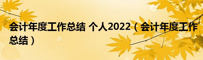 会计年度工作总结 个人2022（会计年度工作总结）