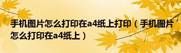 手机图片怎么打印在a4纸上打印（手机图片怎么打印在a4纸上）