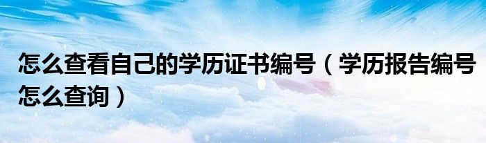 怎么查看自己的学历证书编号（学历报告编号怎么查询）