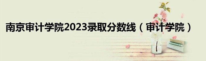 南京审计学院2023录取分数线（审计学院）