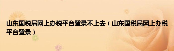 山东国税局网上办税平台登录不上去（山东国税局网上办税平台登录）