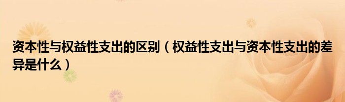 资本性与权益性支出的区别（权益性支出与资本性支出的差异是什么）