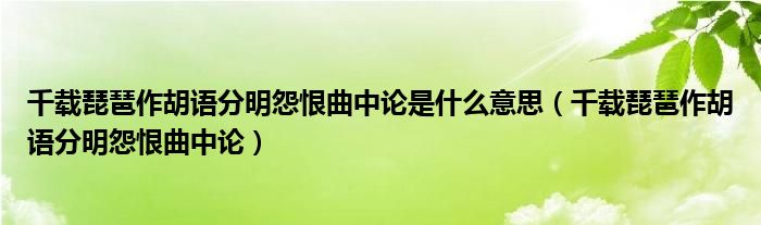 千载琵琶作胡语分明怨恨曲中论是什么意思（千载琵琶作胡语分明怨恨曲中论）