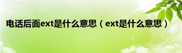 电话后面ext是什么意思（ext是什么意思）