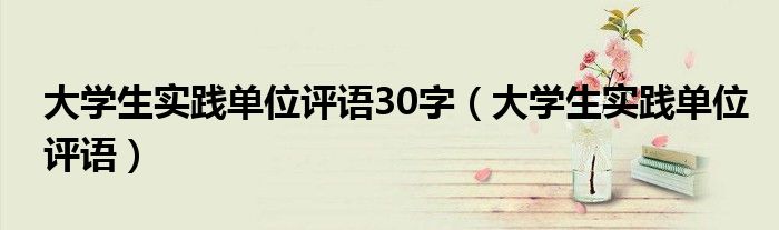 大学生实践单位评语30字（大学生实践单位评语）