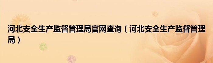 河北安全生产监督管理局官网查询（河北安全生产监督管理局）