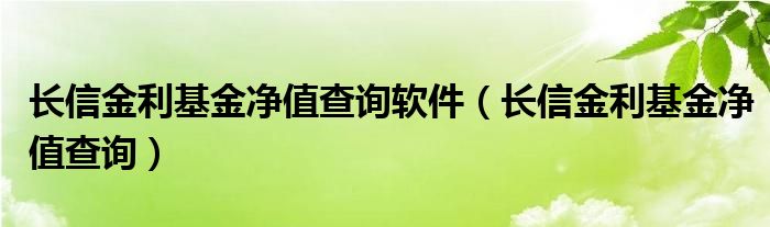 长信金利基金净值查询软件（长信金利基金净值查询）