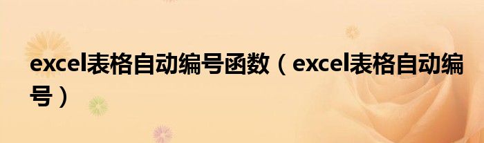 excel表格自动编号函数（excel表格自动编号）