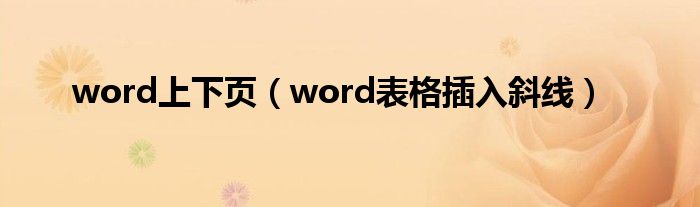 word上下页（word表格插入斜线）