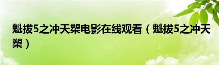 魁拔5之冲天槊电影在线观看（魁拔5之冲天槊）